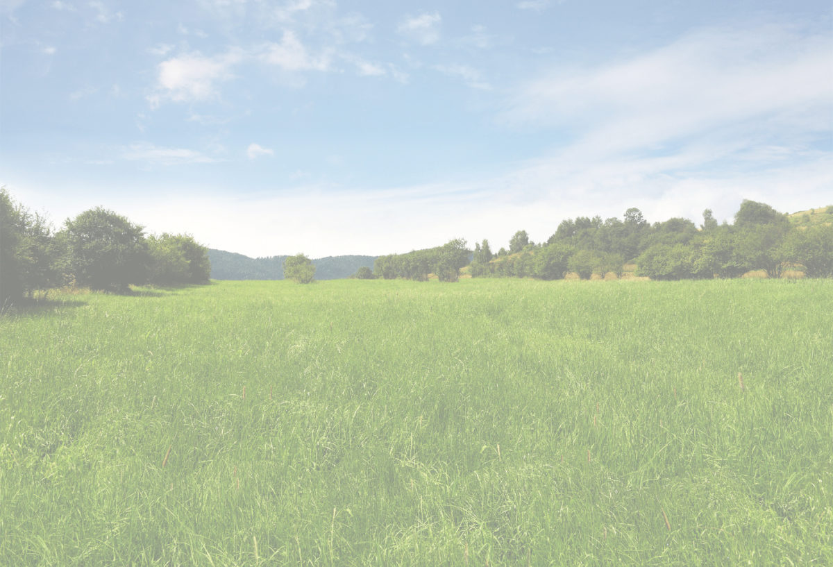 Grasslandbackground Middleville Town Center Apartments